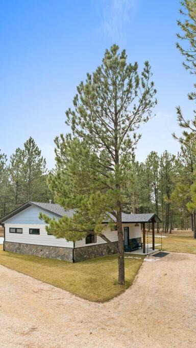 Photo of Buildings in Custer