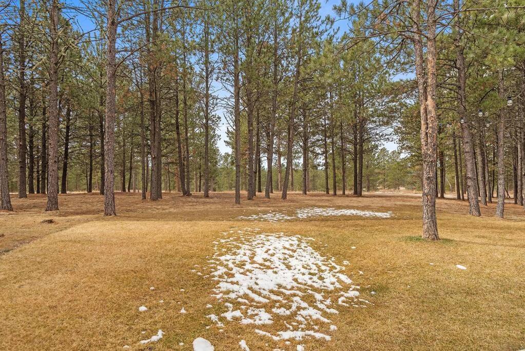 Photo of Others in Custer