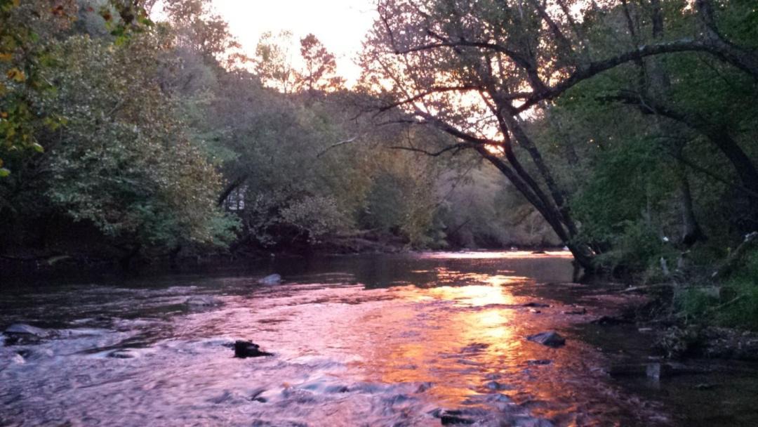 Photo of Others in Ellijay