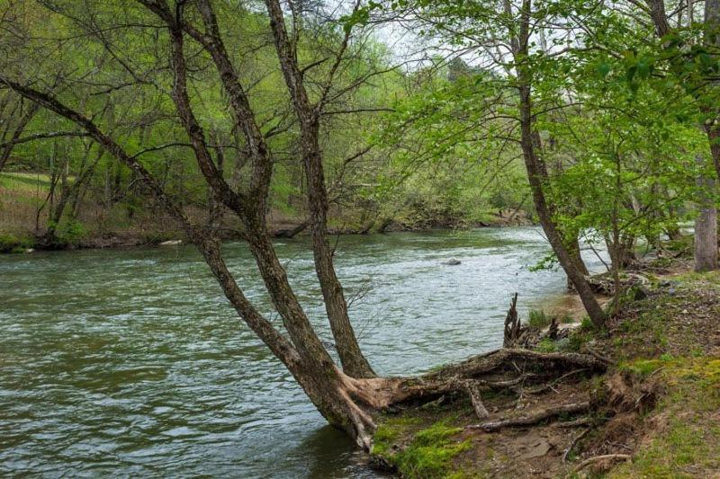 Photo of Others in Ellijay