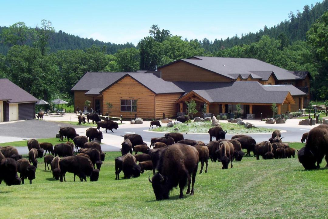 Photo of Others in Custer