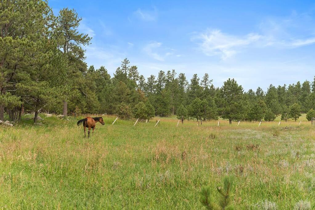 Photo of Outdoor in Custer