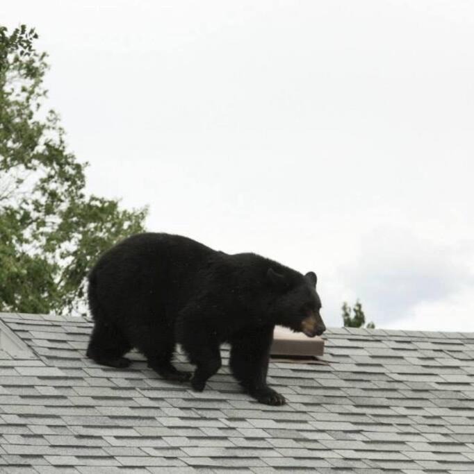 Photo of Others in Gardiner