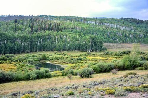 Photo of Others in Walden