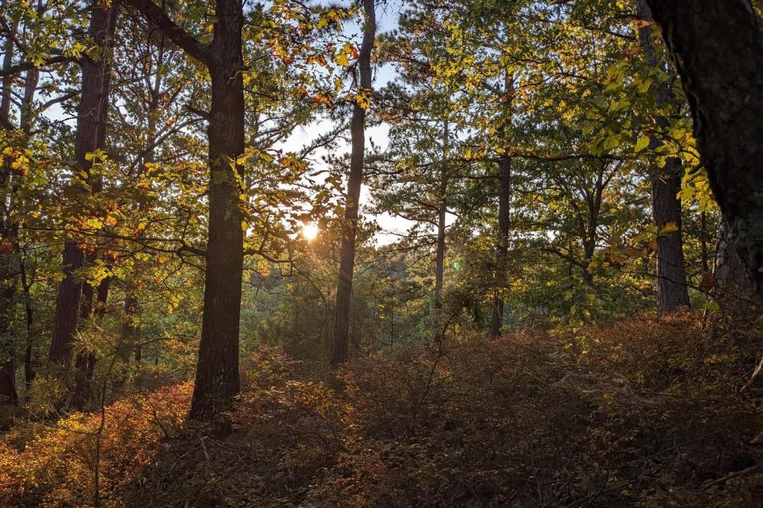 Photo of Outdoor in Eureka Springs