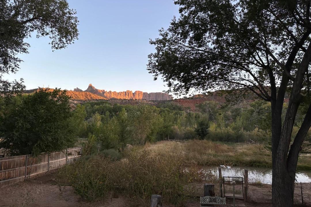 Photo of Others in Zion National Park South Entrance