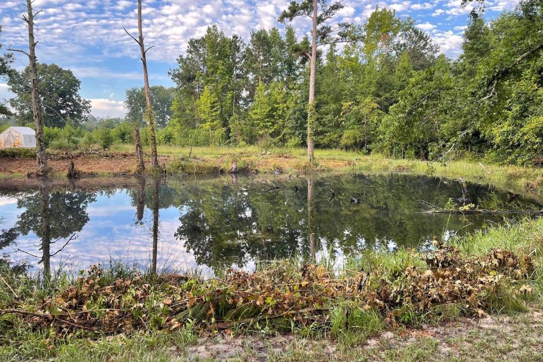 Photo of Outdoor in Little Rock