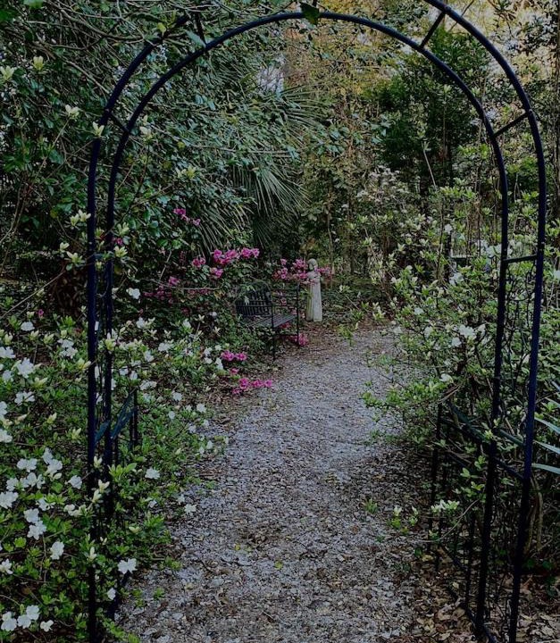 Photo of Others in Lexington
