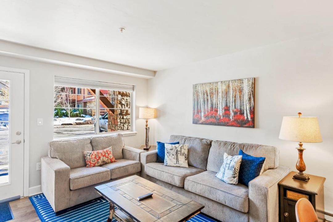 Photo of Livingroom in Steamboat Springs