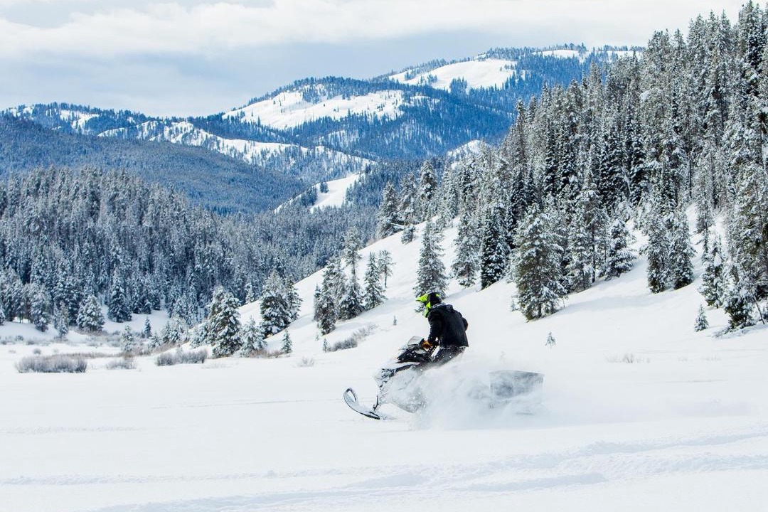 Photo of Others in Alpine