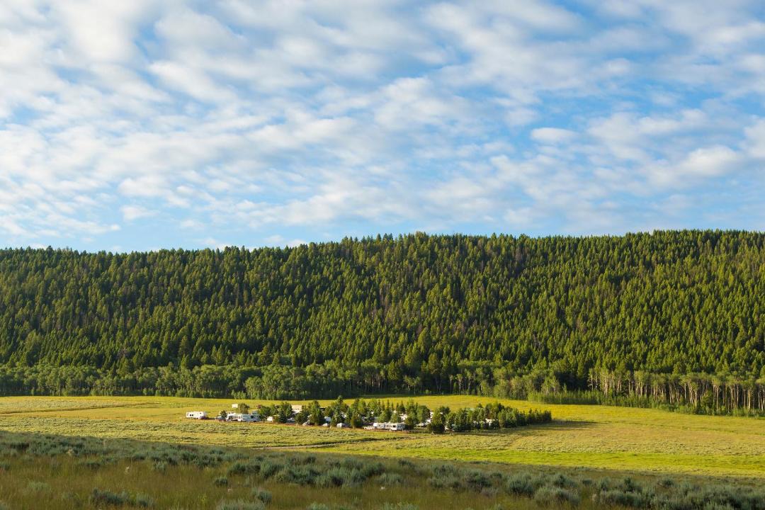 Photo of Outdoor in Island Park
