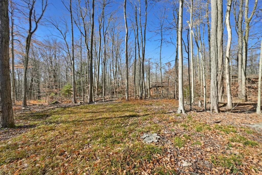 Photo of Others in Pocono Pines