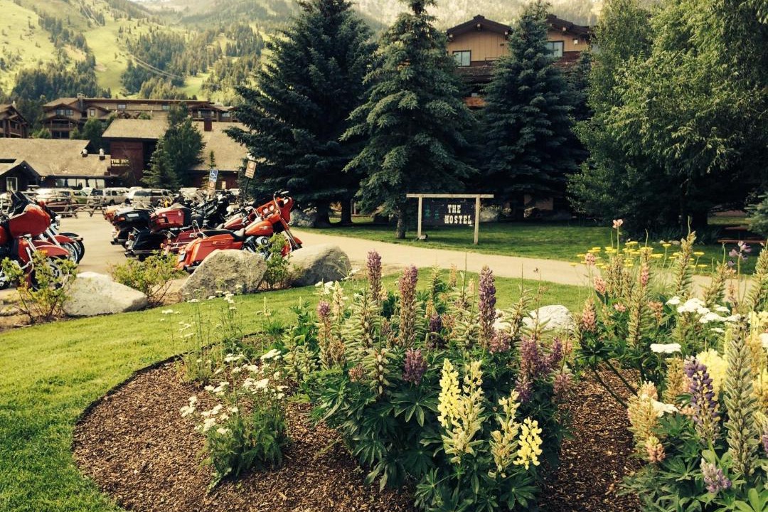 Photo of Others in Teton Village