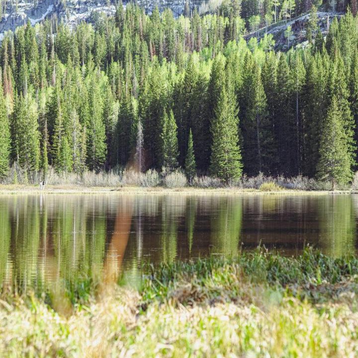 Photo of Outdoor in Salt Lake Mountain Resorts
