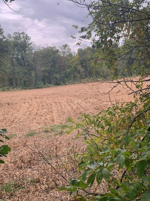 Photo of Outdoor in Steelville