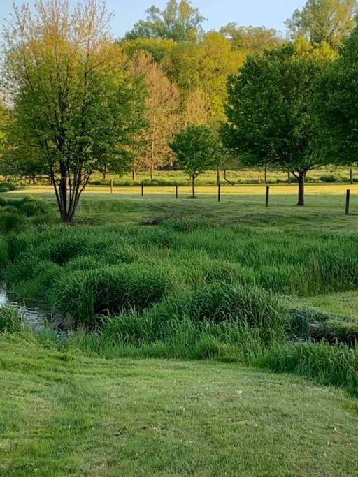 Photo of Outdoor in Steelville