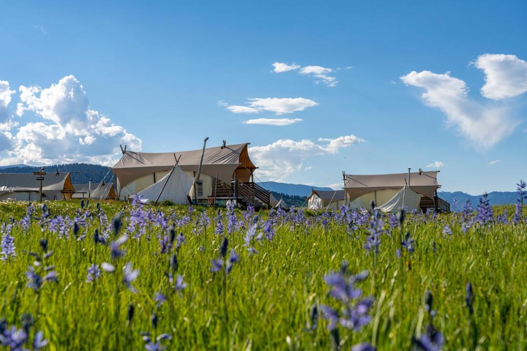 Photo of Others in West Yellowstone