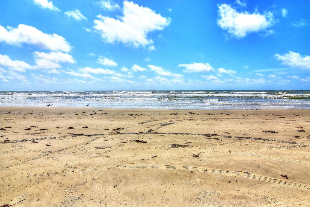 Photo of Others in Port Aransas