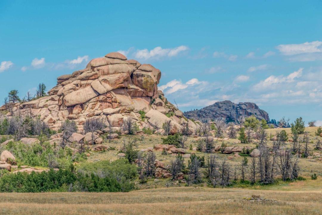 Photo of Others in Laramie