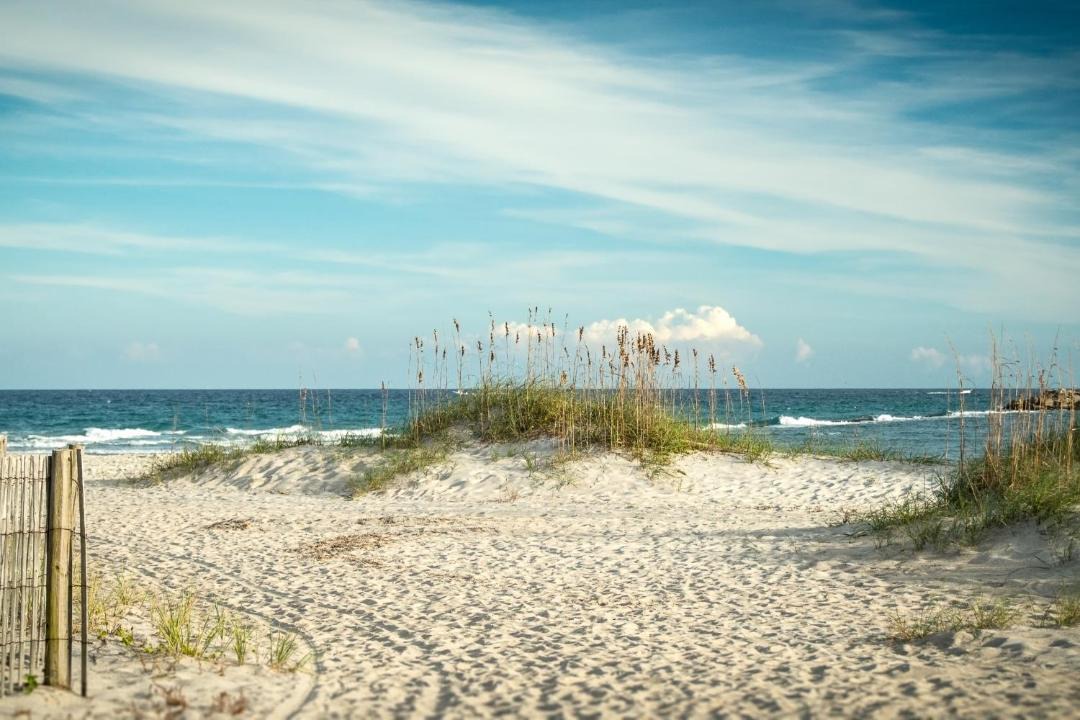 Photo of Others in Ocean Isle Beach