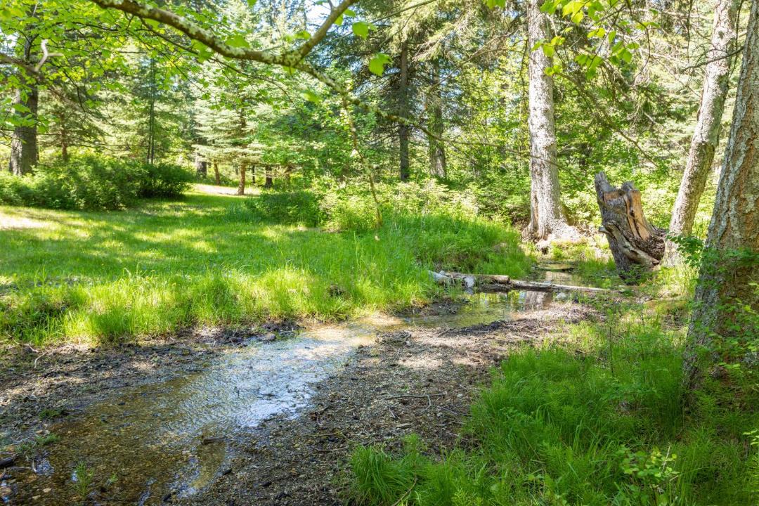 Photo of Outdoor in Columbia Falls