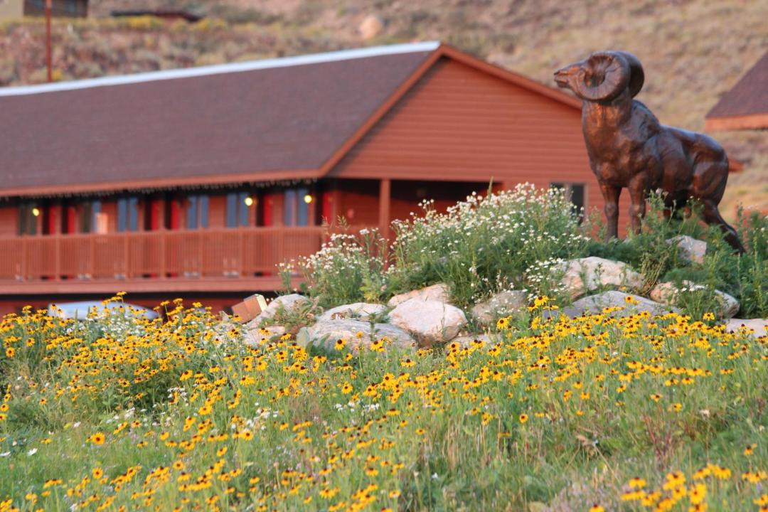 Photo of Others in Jackson Hole