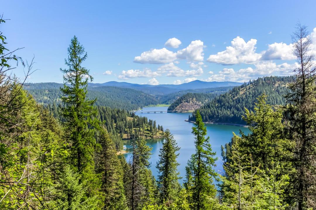 Photo of Others in Coeur d'Alene