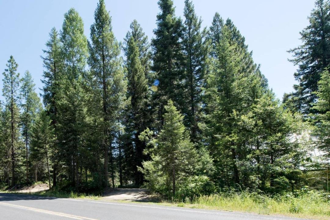 Photo of Others in McCall