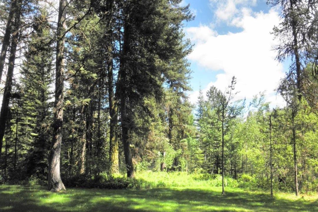 Photo of Others in McCall