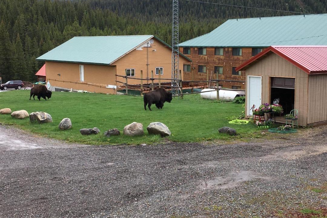 Photo of Others in Cooke City-Silver Gate