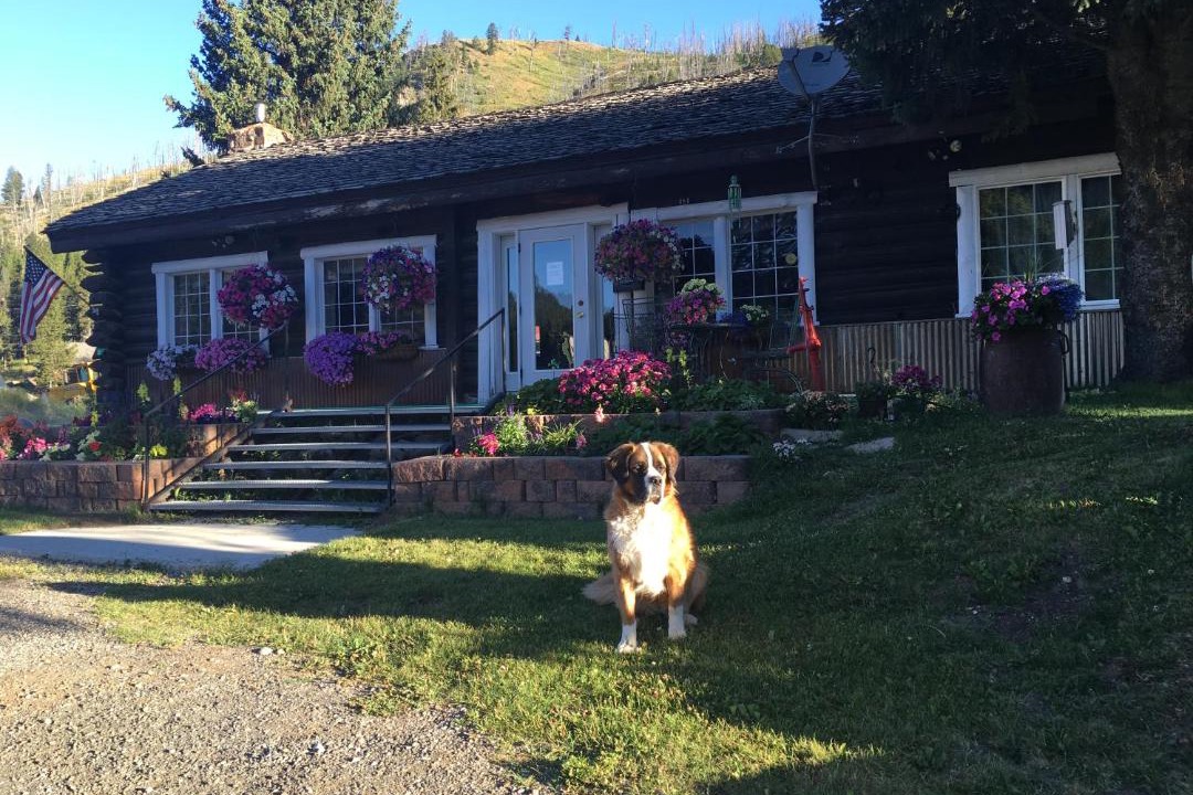 Photo of Others in Cooke City-Silver Gate