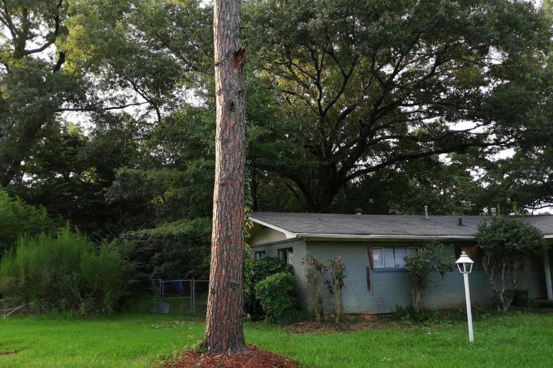 Photo of Buildings in Tougaloo
