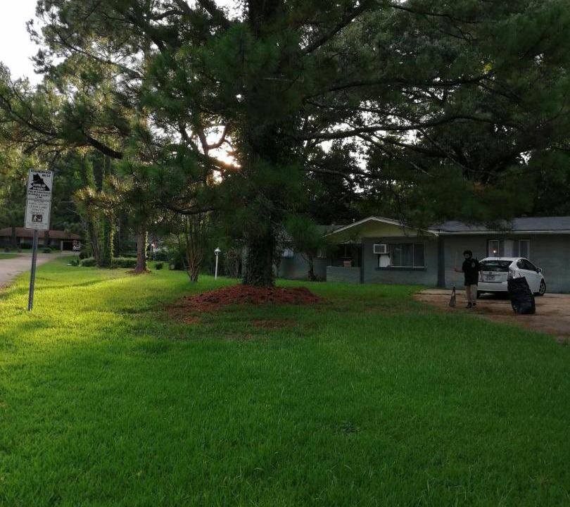 Photo of Others in Tougaloo