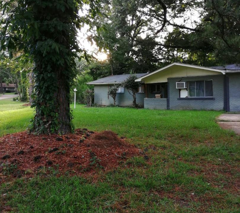 Photo of Buildings in Tougaloo
