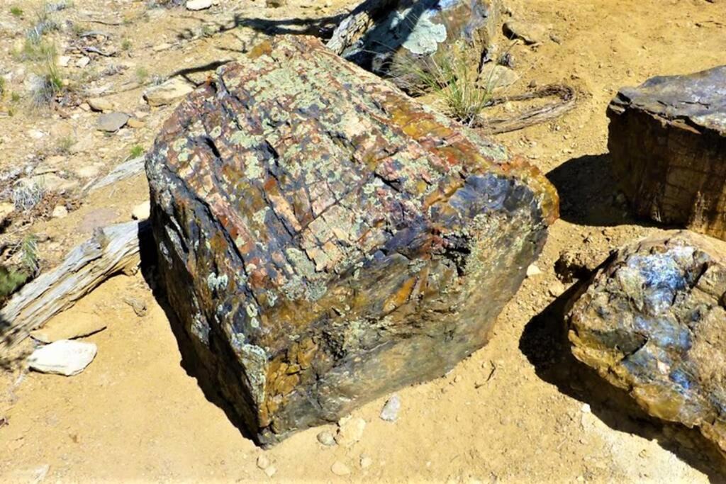 Photo of Others in Escalante