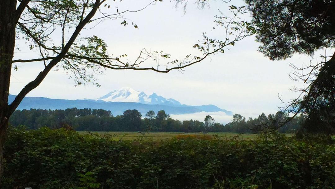 Photo of Others in Lynden