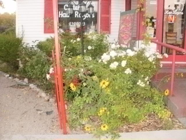 Photo of Others in Pocatello