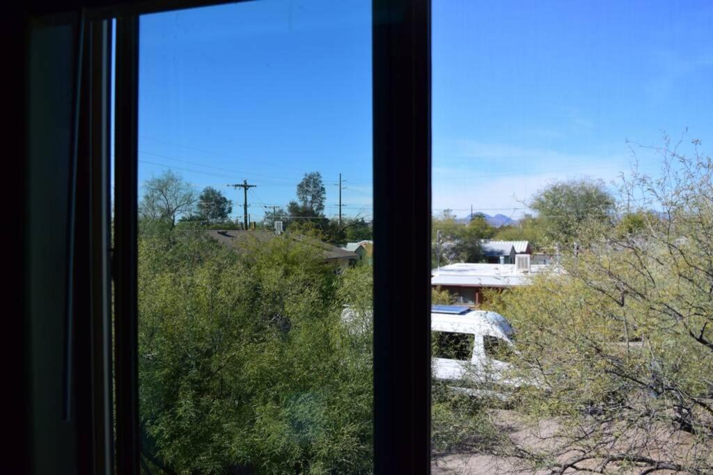 Photo of Others in Palo Verde