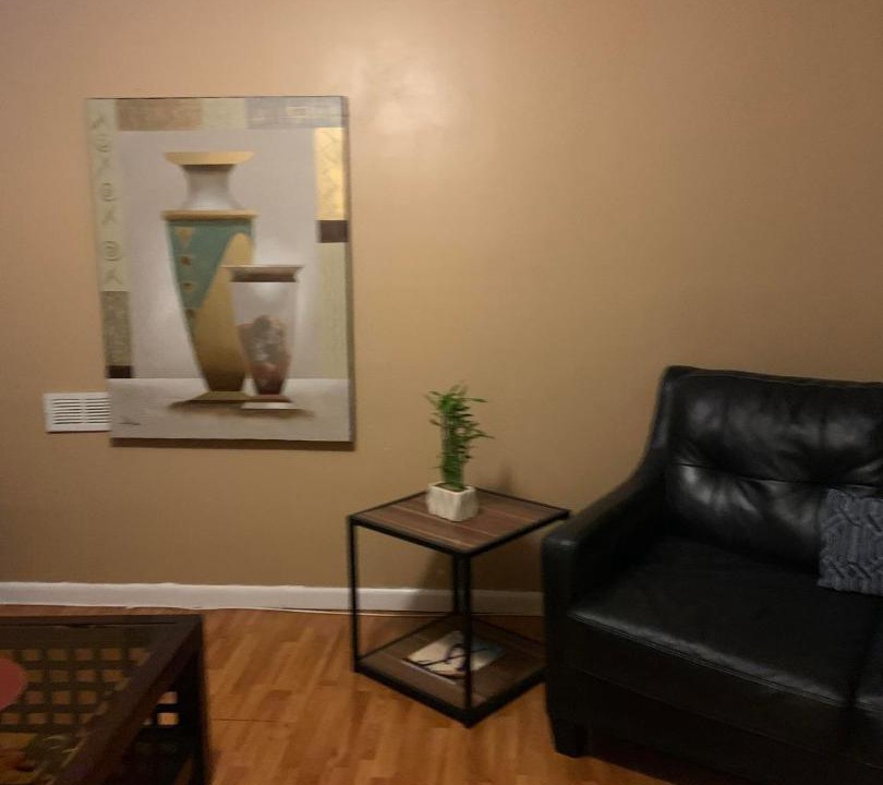 Photo of Livingroom in Stone Mountain