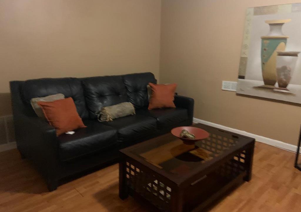Photo of Livingroom in Stone Mountain