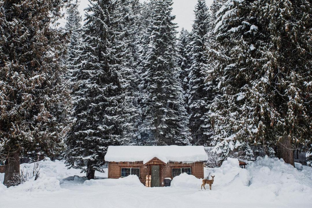 Photo of Others in Idaho County