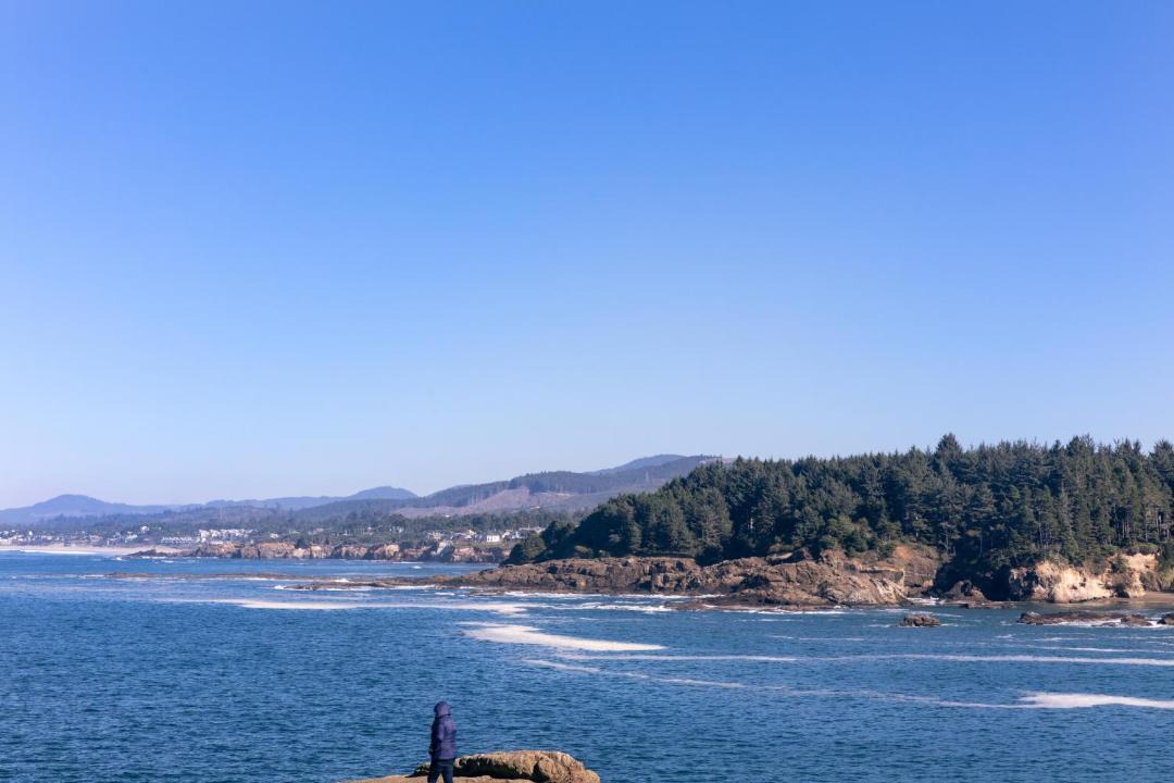 Photo of Others in Depoe Bay