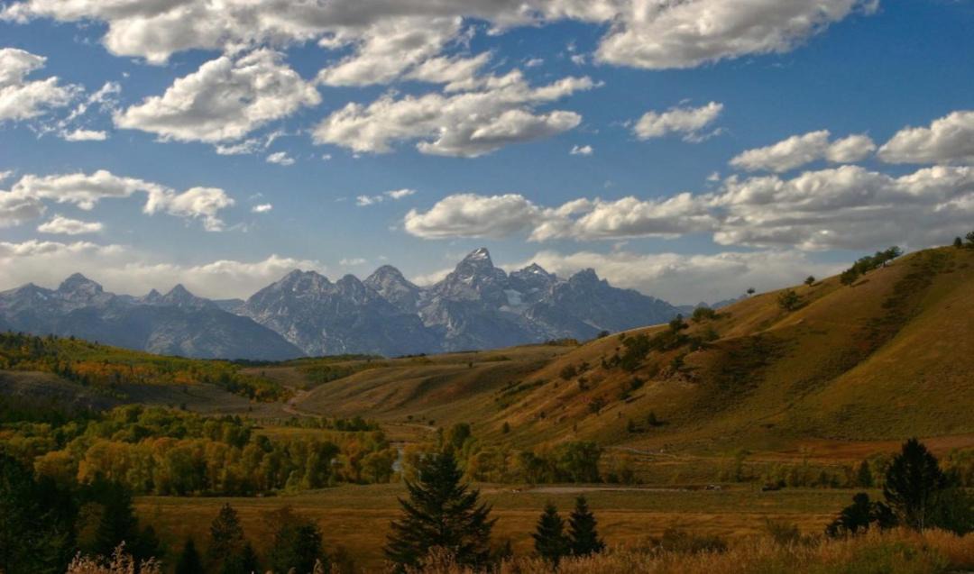Photo of Others in Jackson Hole
