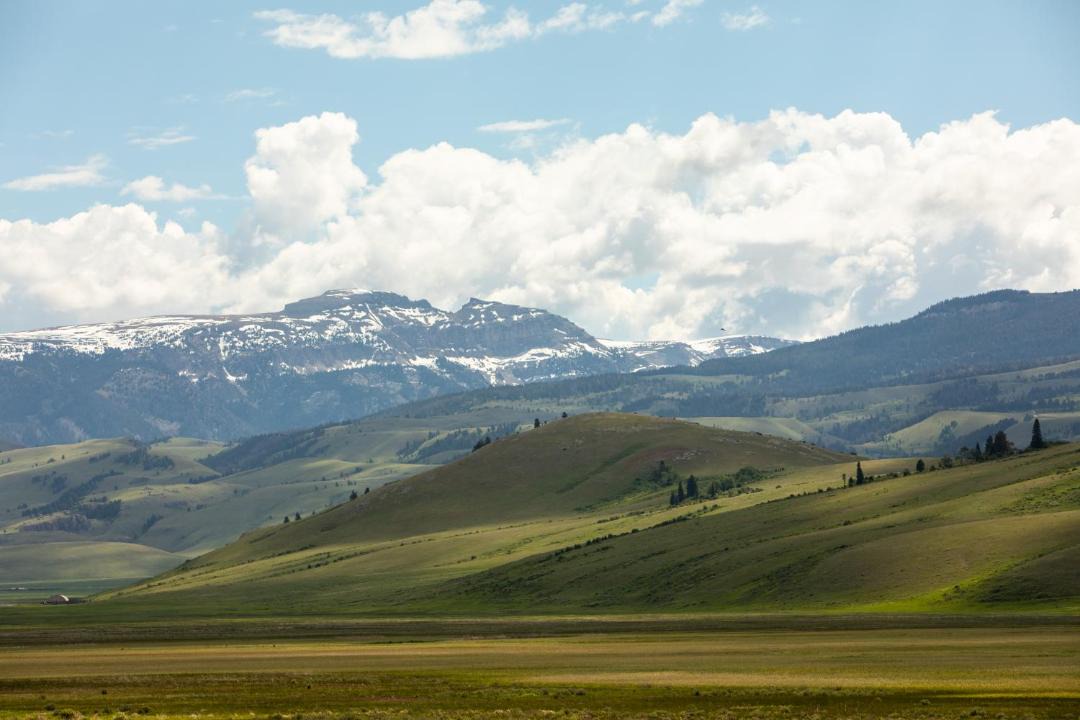 Photo of Others in Jackson Hole