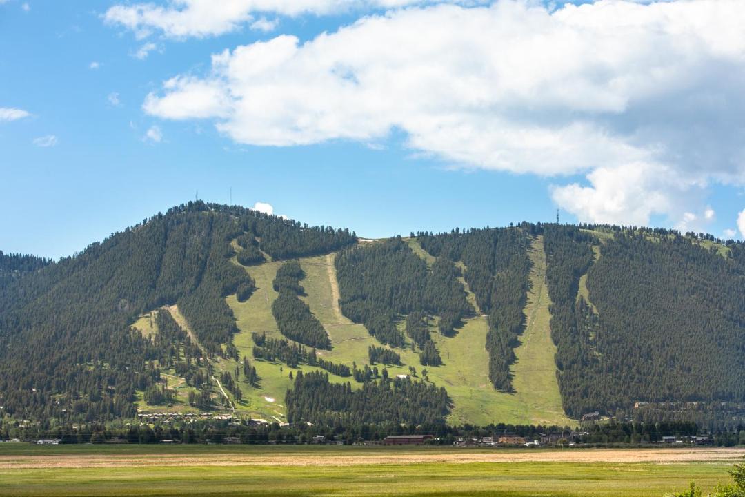 Photo of Others in Jackson Hole