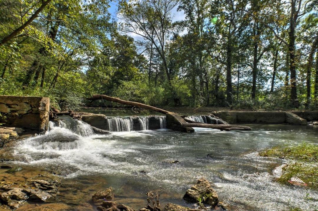 Photo of Others in Ooltewah