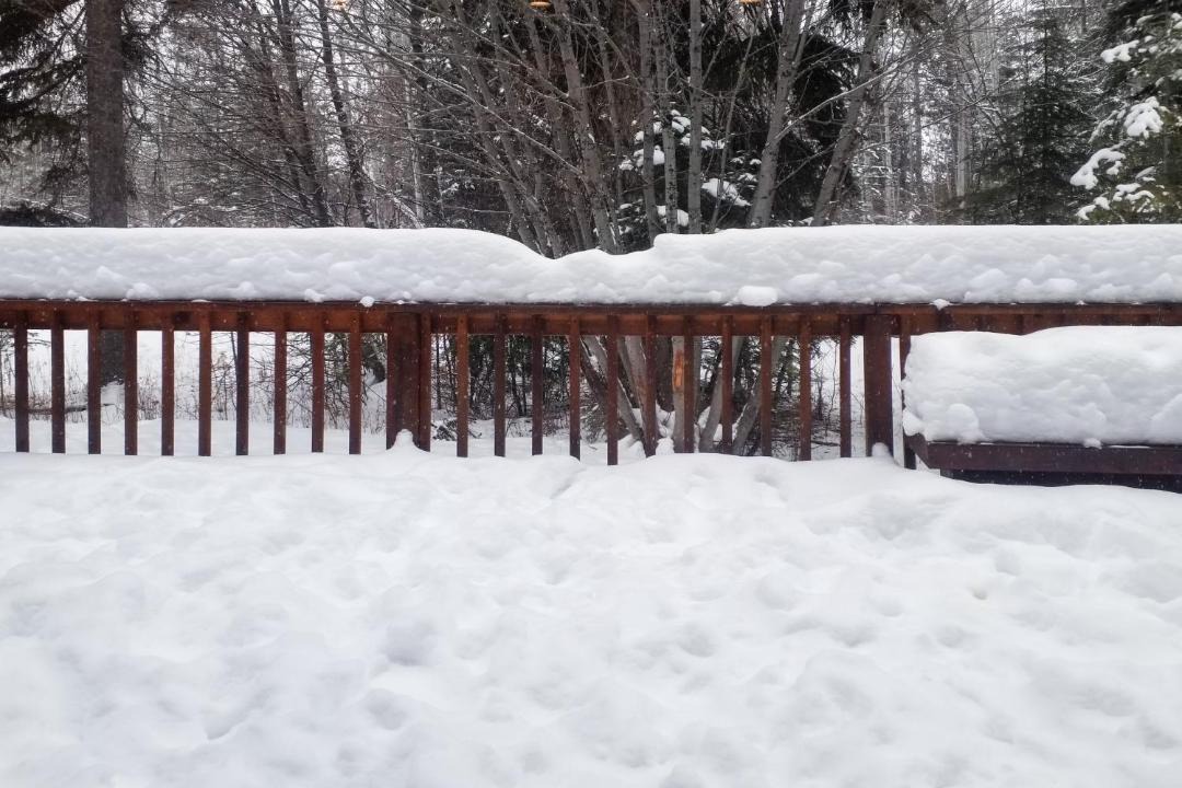 Photo of Others in McCall