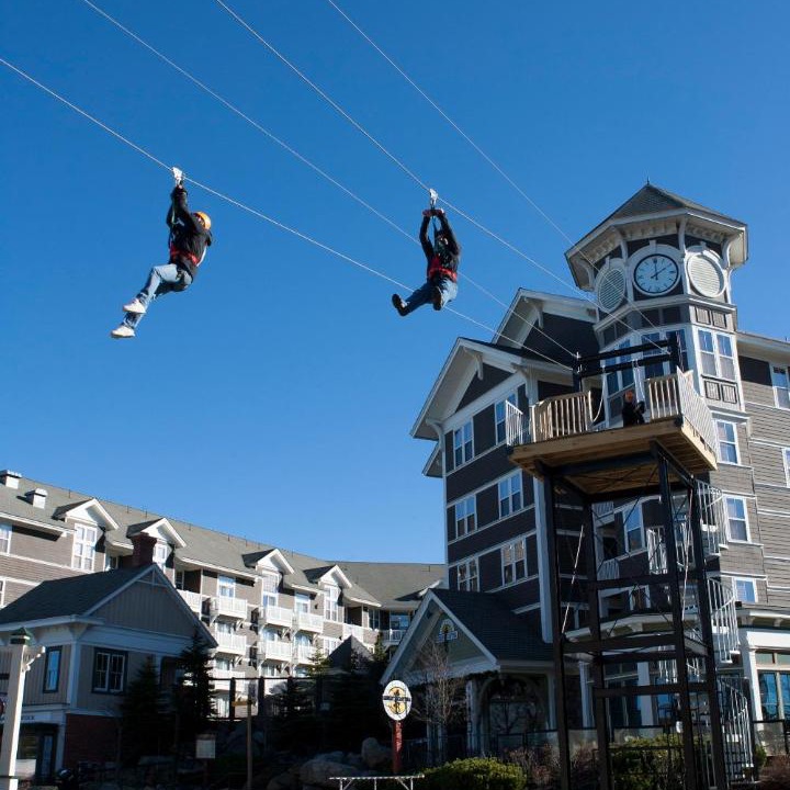 Photo of Others in Snowshoe