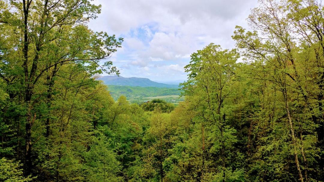 Photo of Others in Smoky Mountains