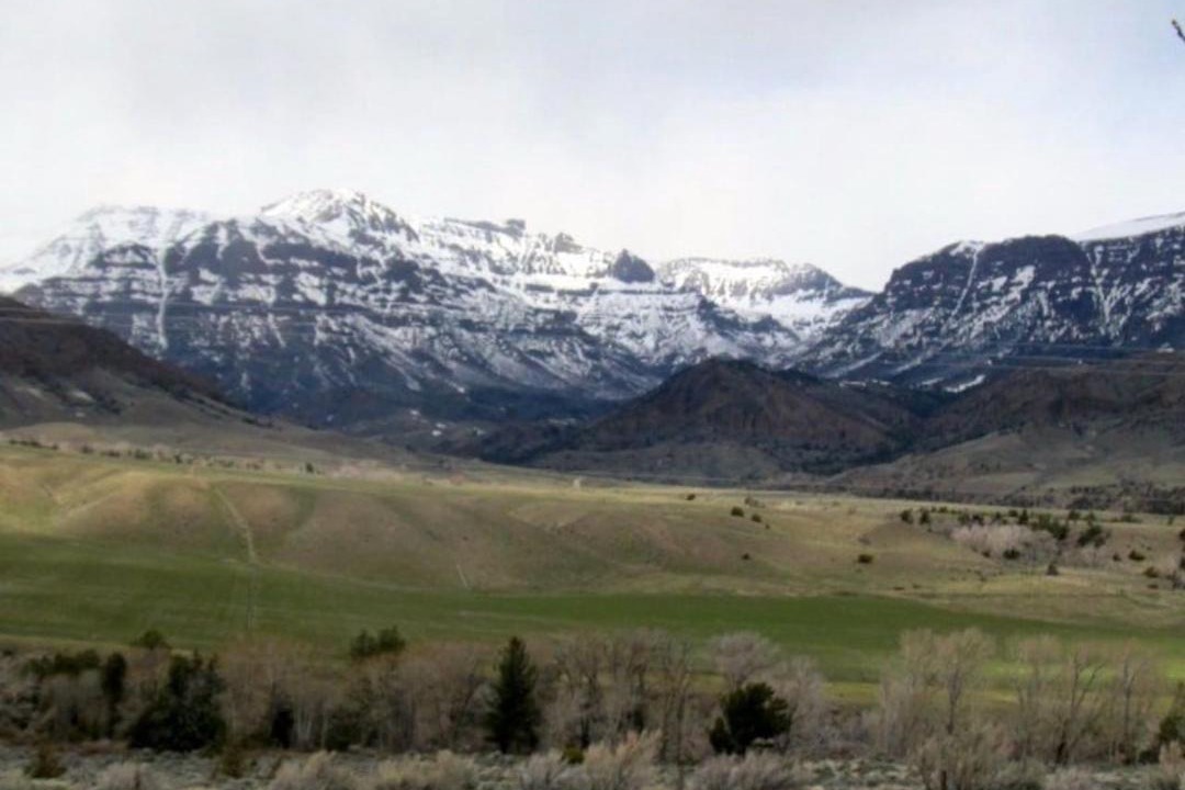 Photo of Others in Wapiti